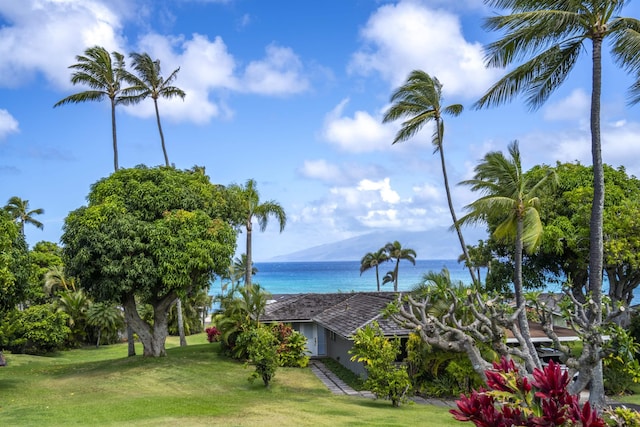 20 Hui Rd I 41, Lahaina, HI 96761 - water view