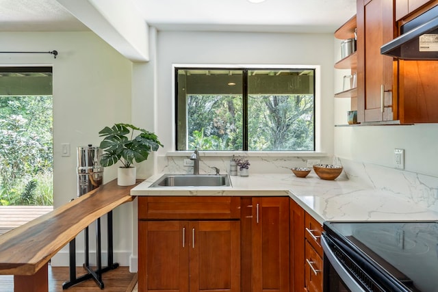 kitchen with sink, plenty of natural light, fume extractor, and wood-type flooring