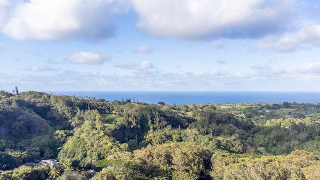 view of birds eye view of property