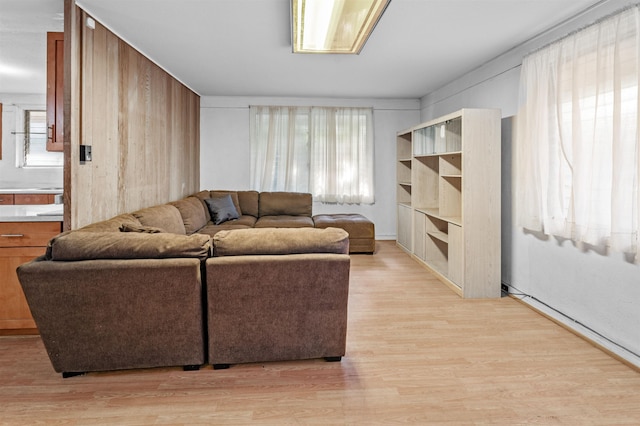 living room featuring light hardwood / wood-style floors and a wealth of natural light