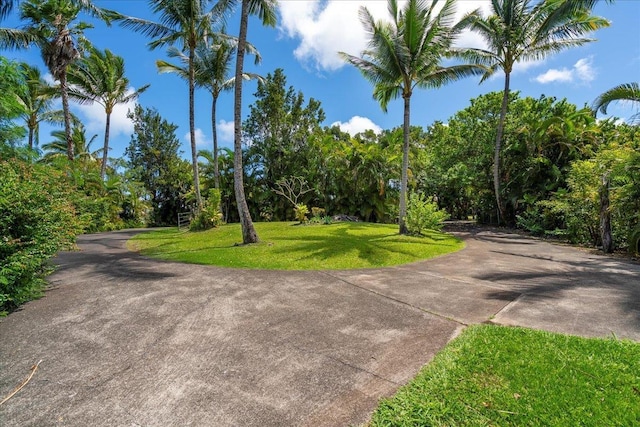 view of home's community featuring a lawn
