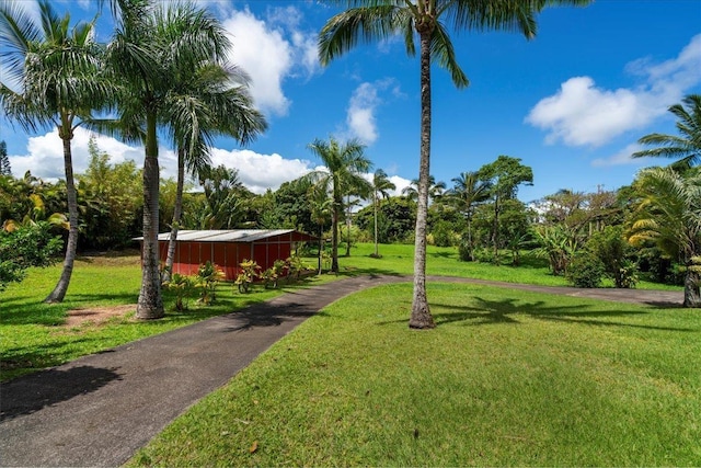 view of yard featuring an outbuilding