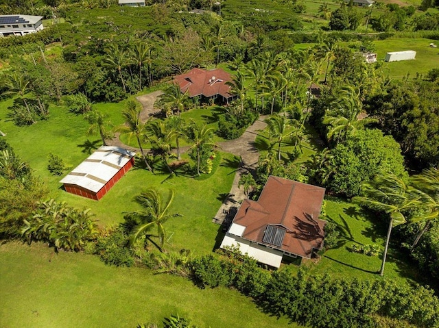 drone / aerial view