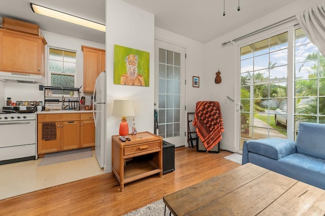 kitchen featuring white refrigerator, sink, range, and light hardwood / wood-style floors