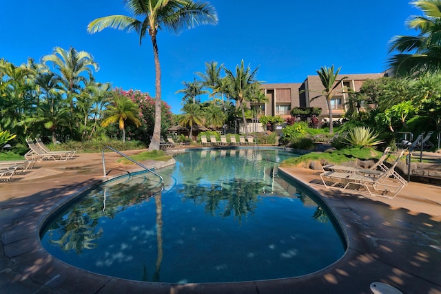 view of pool with a patio