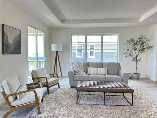 living area with baseboards, a tray ceiling, and wood finished floors