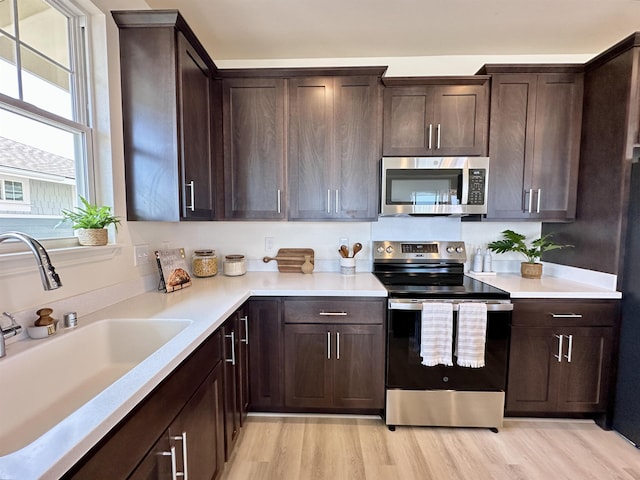 kitchen featuring light wood finished floors, stainless steel appliances, light countertops, a sink, and dark brown cabinets