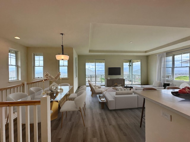 living room with wood finished floors and a raised ceiling