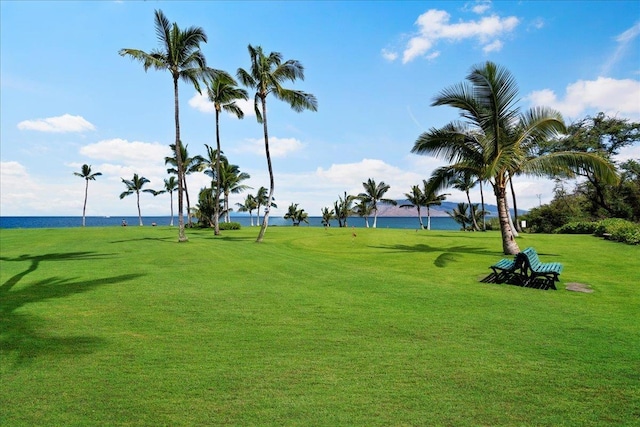 2936 S Kihei Rd Unit 213, Kihei, HI 96753 - surrounding community with a water view and a yard