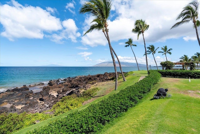 2936 S Kihei Rd Unit 213, Kihei, HI 96753 - water view