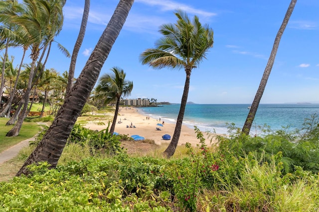 property view of water with a beach view