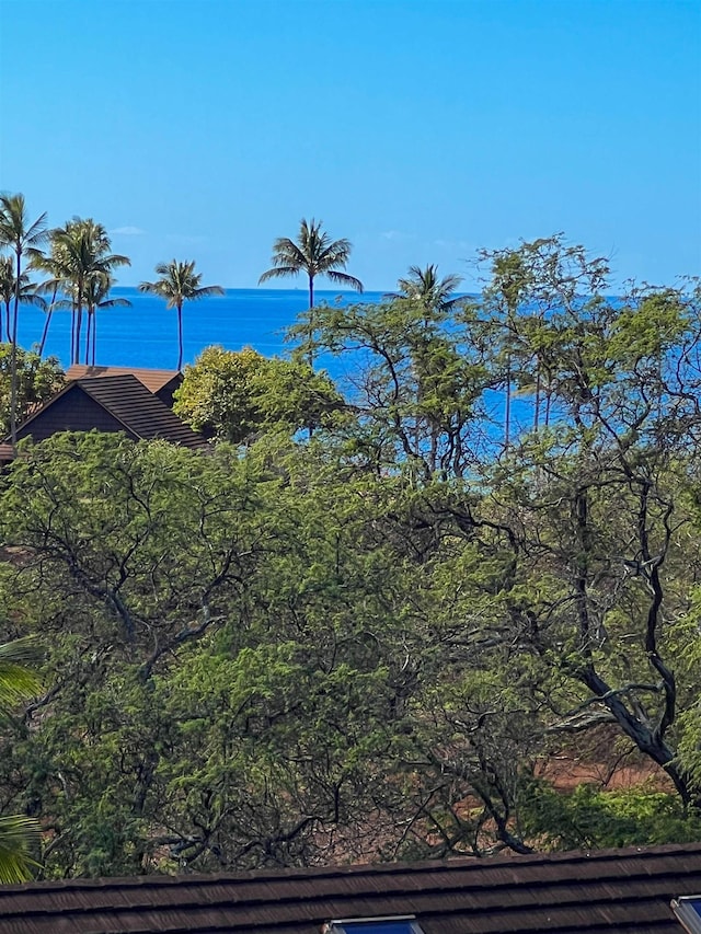 exterior space featuring a water view