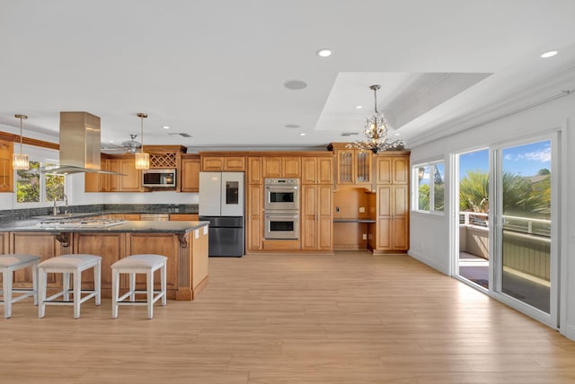 kitchen featuring appliances with stainless steel finishes, island range hood, a raised ceiling, decorative light fixtures, and an inviting chandelier