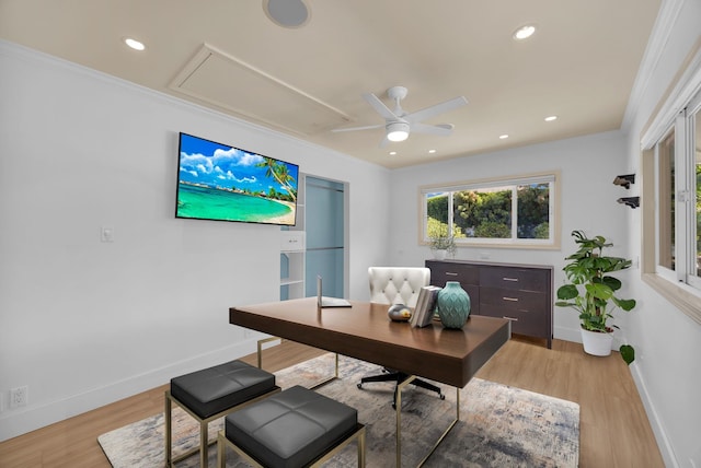 home office featuring ceiling fan, light hardwood / wood-style floors, and ornamental molding