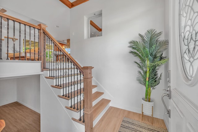 stairway with hardwood / wood-style flooring