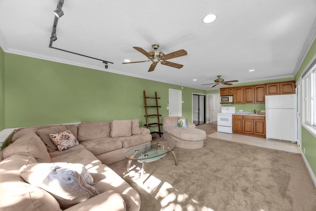 living room with light carpet, sink, ceiling fan, and ornamental molding