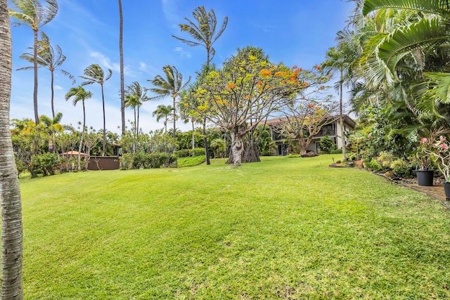3788 Lower Honoapiilani Rd Unit A211, Lahaina, HI 96761 - view of green lawn