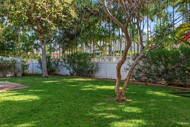 view of yard featuring a fenced backyard