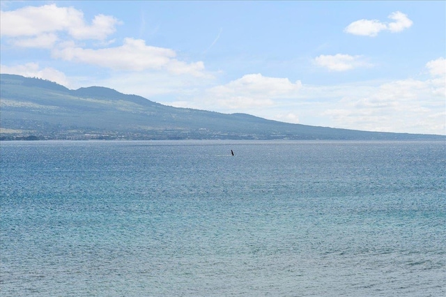 water view featuring a mountain view