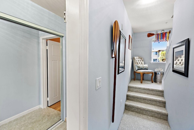 stairway featuring carpet flooring