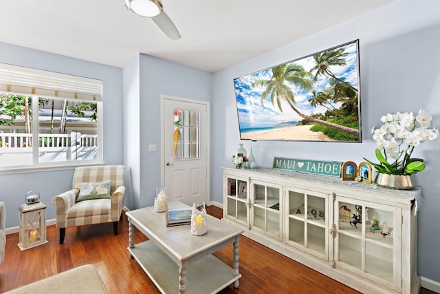 living area featuring ceiling fan and hardwood / wood-style floors