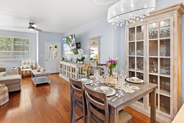 dining space with dark wood-type flooring and ceiling fan with notable chandelier