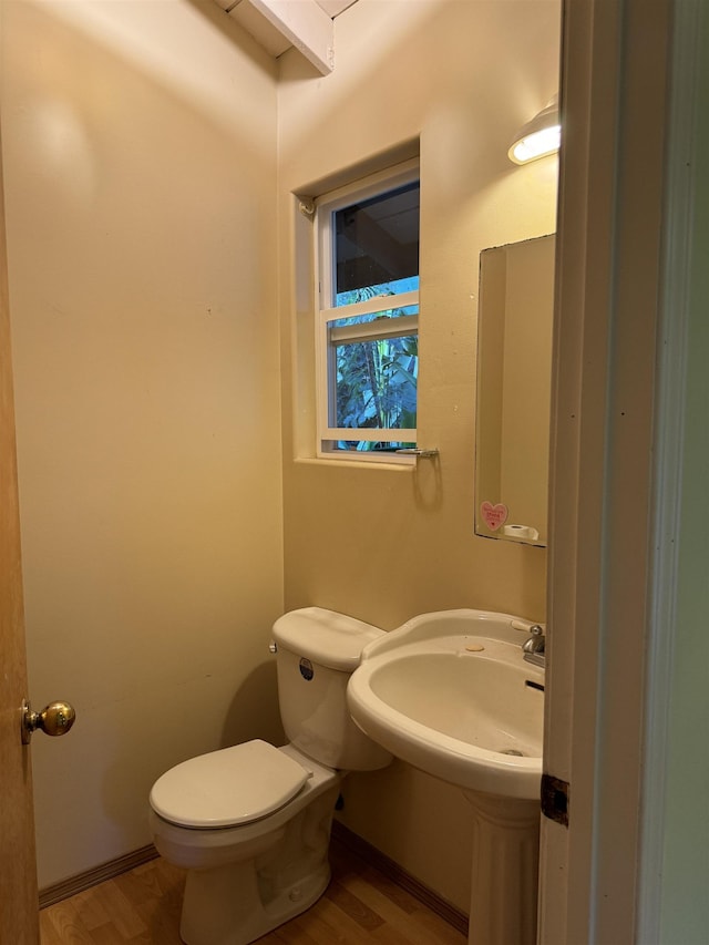 bathroom with toilet and wood-type flooring