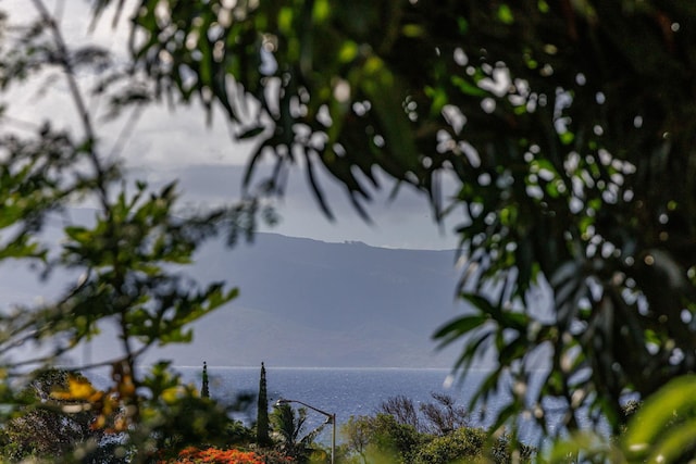 5131 Hanawai St Unit F, Lahaina, HI 96761 - water view
