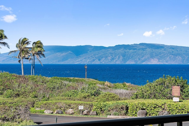 water view with a mountain view