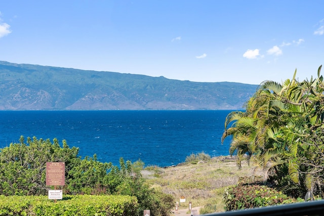 water view featuring a mountain view