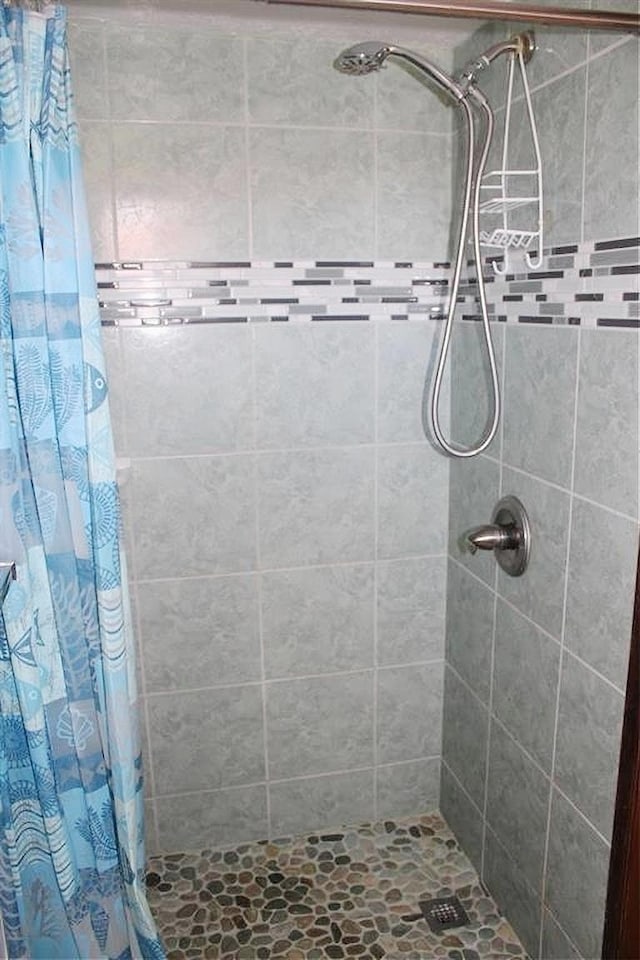 full bathroom featuring a shower stall