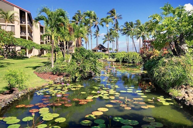 surrounding community featuring a garden pond and a lawn