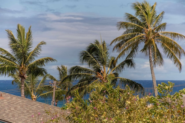 43 Polohina Ln Unit 13-8, Lahaina, HI 96761 - water view