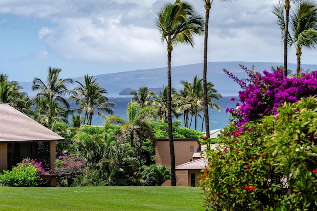 3300 Wailea Alanui Dr Unit 32A, Kihei, HI 96753 - water view