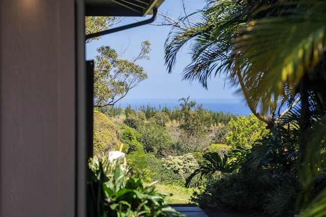 property view of water