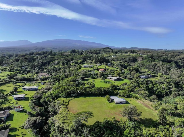 bird's eye view featuring a wooded view and a mountain view