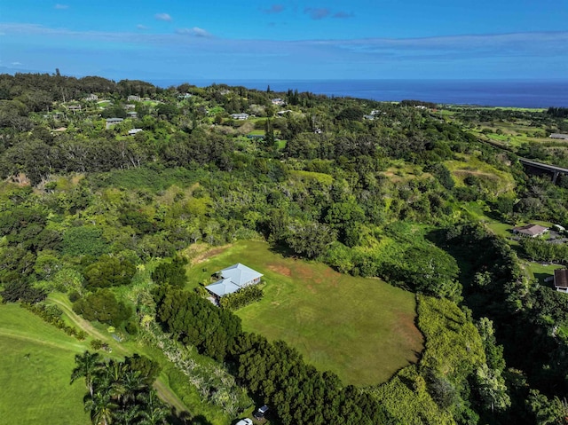 bird's eye view featuring a water view and a view of trees