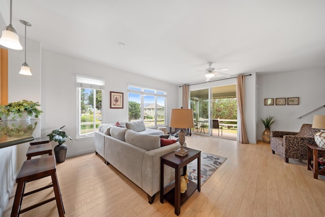 living room with ceiling fan and light wood finished floors
