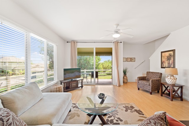 living room with healthy amount of natural light, light wood-type flooring, and a ceiling fan