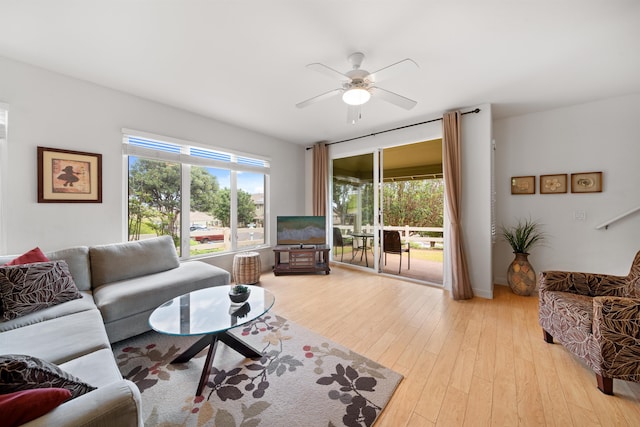 living area with a ceiling fan, healthy amount of natural light, and light wood-style floors