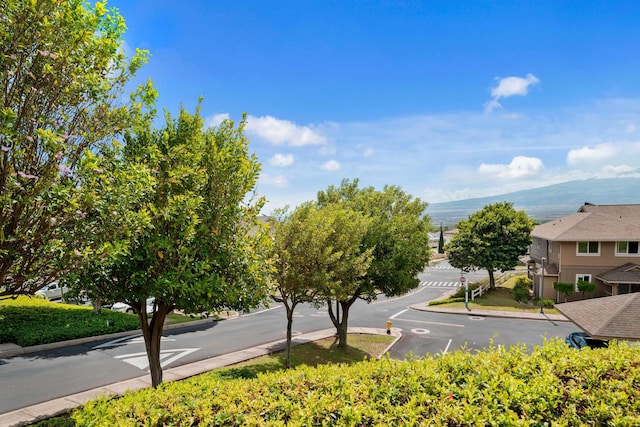 view of asphalt street featuring curbs
