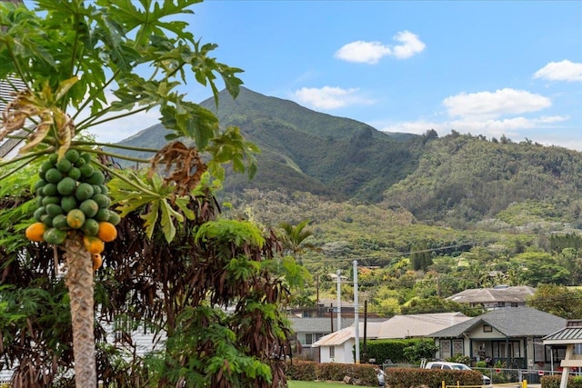 view of mountain feature