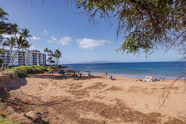 water view featuring a beach view