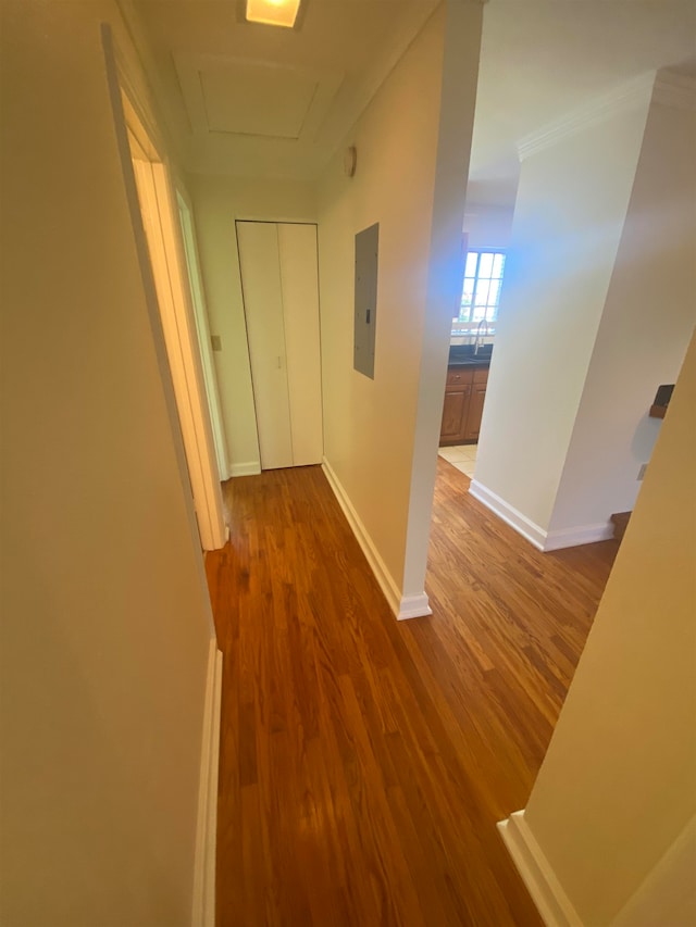 corridor featuring crown molding, hardwood / wood-style floors, and electric panel