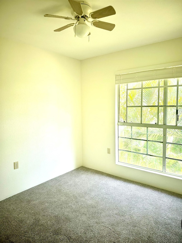 empty room featuring carpet flooring, ceiling fan, and plenty of natural light