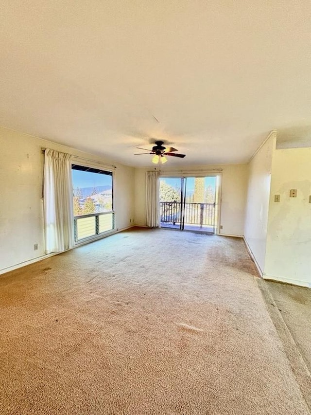 spare room with ceiling fan and carpet flooring