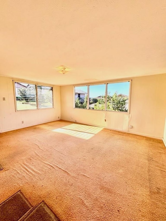 empty room featuring light carpet