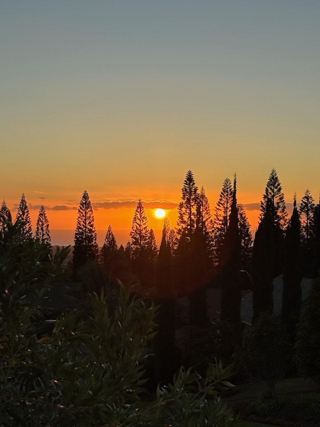 view of nature at dusk