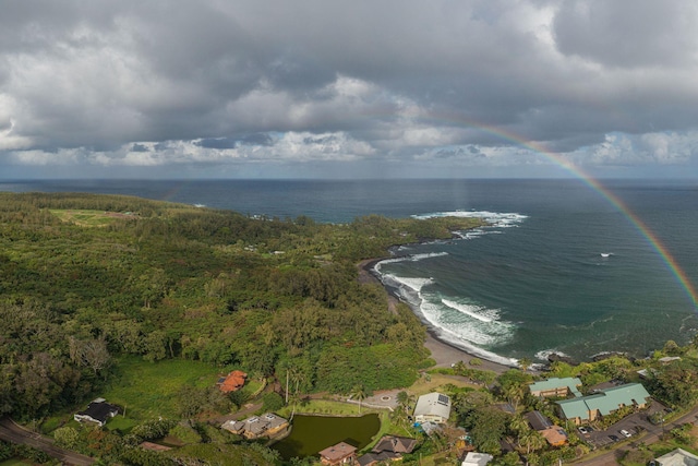140 Waikoloa Rd, Hana, HI 96713 - aerial view of property's location featuring a nearby body of water and a heavily wooded area