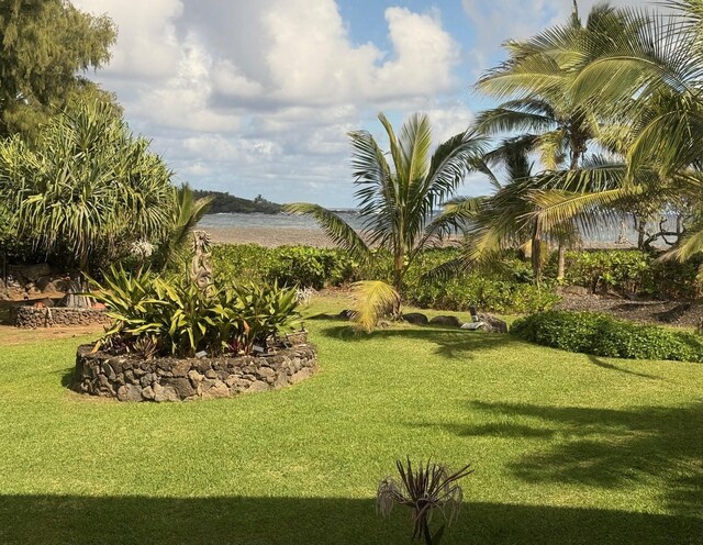 140 Waikoloa Rd, Hana, HI 96713 - view of green lawn